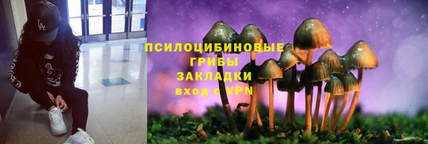 Альфа ПВП Кукмор