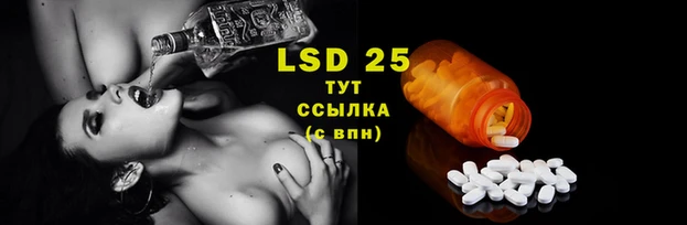Альфа ПВП Кукмор