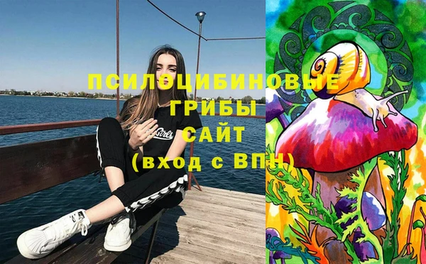 Альфа ПВП Кукмор