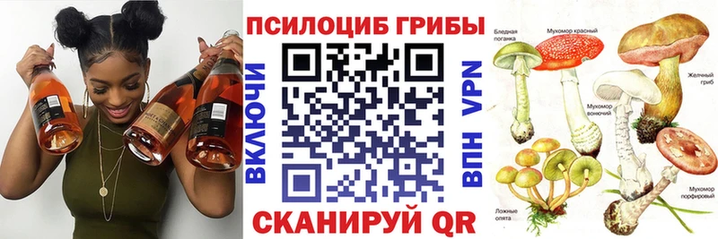 Псилоцибиновые грибы MAGIC MUSHROOMS  Купить закладки  Асбест 